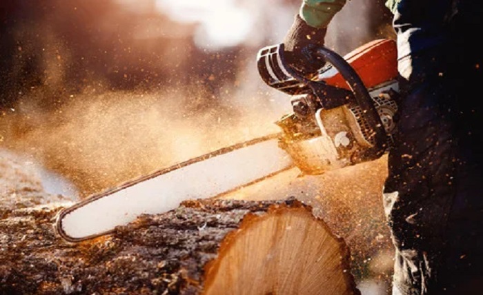 Exploring the Different Types of Chainsaw Bars and Their Uses